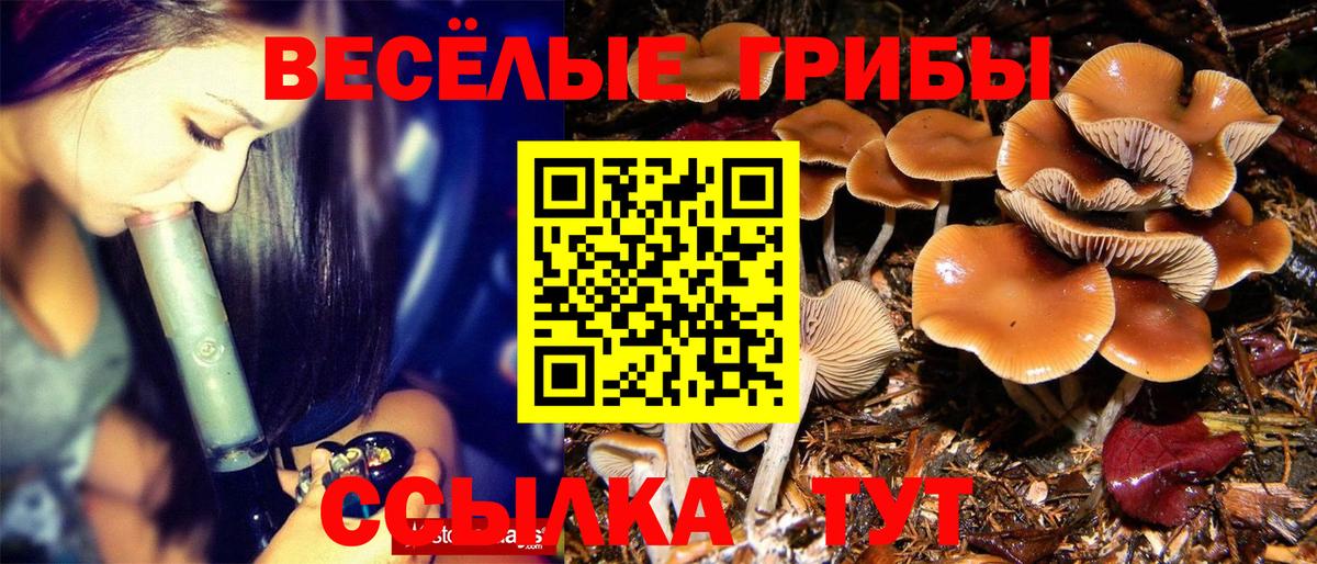 Галлюциногенные грибы мухоморы  Вход с VPN  Бугуруслан  продажа наркотиков  Галлюциногенные грибы Psilocybe 